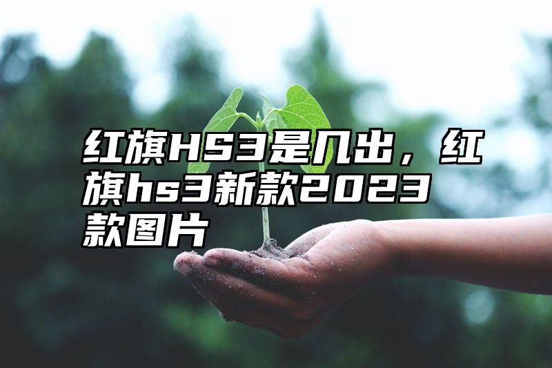 红旗HS3是几出，红旗hs3新款2023款图片