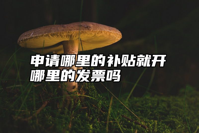 申请哪里的补贴就开哪里的发票吗