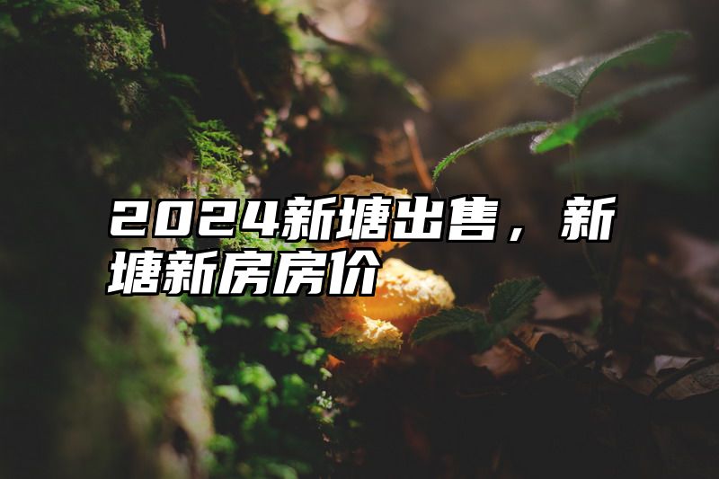 2024新塘出售，新塘新房房价