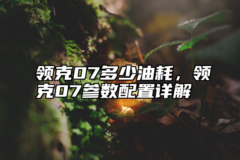 领克07多少油耗，领克07参数配置详解