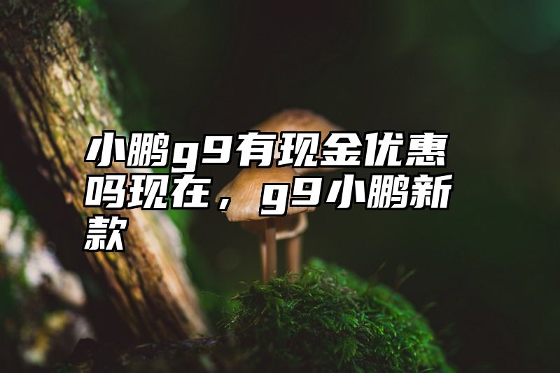 小鹏g9有现金优惠吗现在，g9小鹏新款