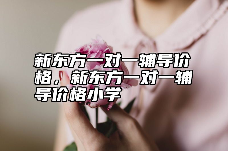 新东方一对一辅导价格，新东方一对一辅导价格小学