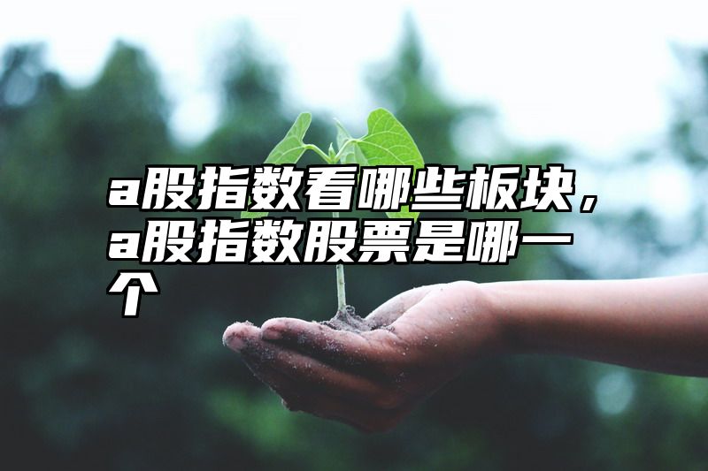 a股指数看哪些板块，a股指数股票是哪一个