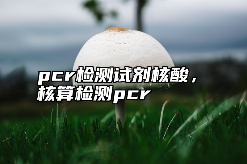 pcr检测试剂核酸，核算检测pcr