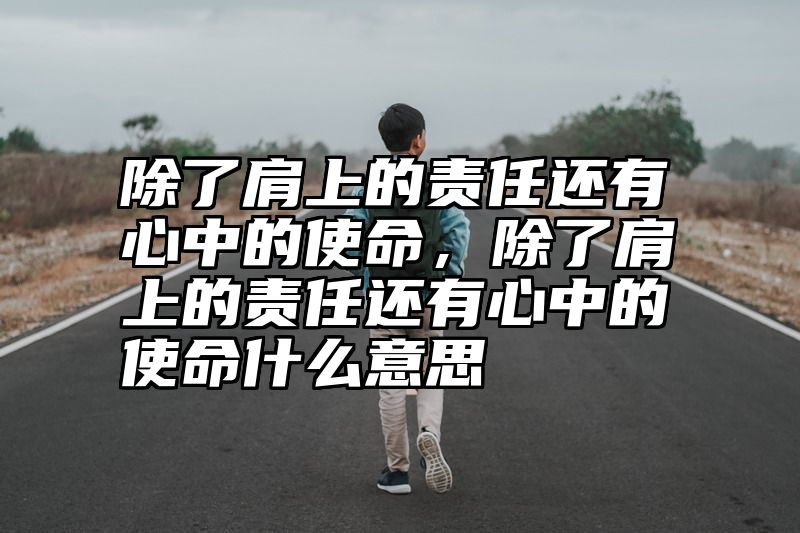除了肩上的责任还有心中的使命，除了肩上的责任还有心中的使命什么意思