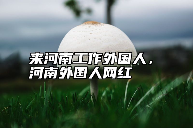来河南工作外国人，河南外国人网红