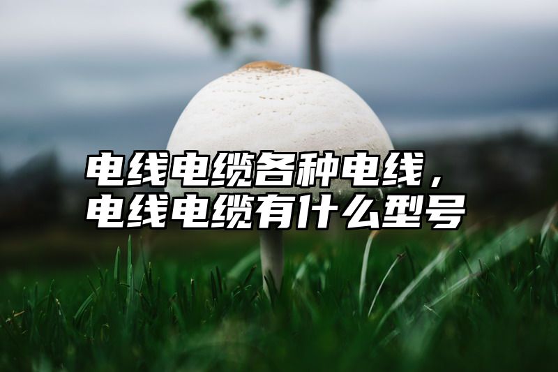 电线电缆各种电线，电线电缆有什么型号