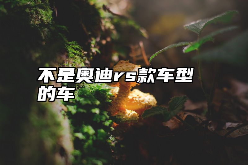 点击查看《不是奥迪rs款车型的车》全文