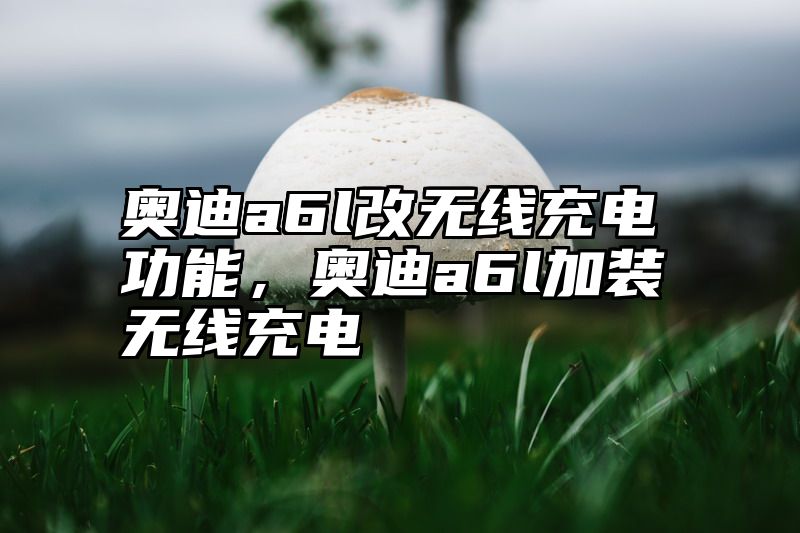 点击查看《奥迪a6l改无线充电功能,奥迪a6l加装无线充电》全文