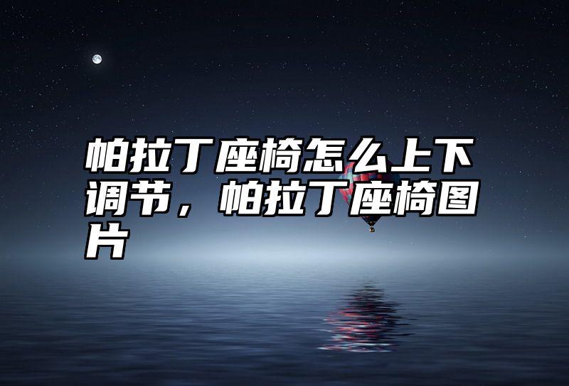 帕拉丁座椅怎么上下调节，帕拉丁座椅图片