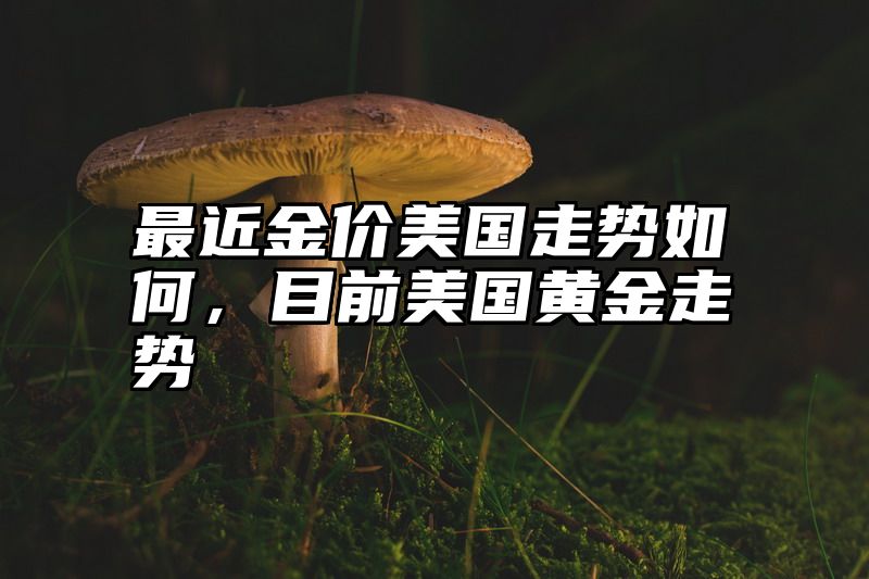 最近金价美国走势如何，目前美国黄金走势