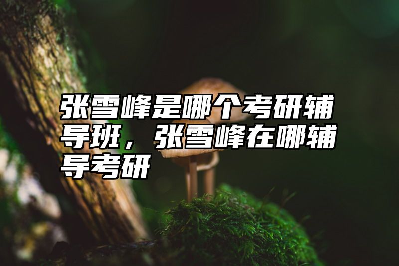 点击查看《张雪峰是哪个考研辅导班,张雪峰在哪辅导考研》全文