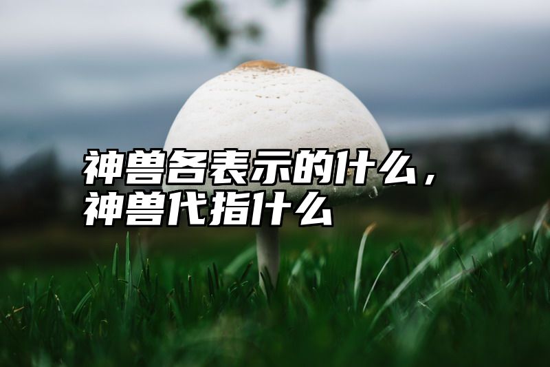 神兽各表示的什么，神兽代指什么