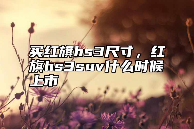买红旗hs3尺寸，红旗hs3suv什么时候上市