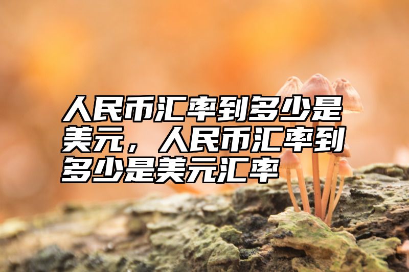 人民币汇率到多少是美元，人民币汇率到多少是美元汇率