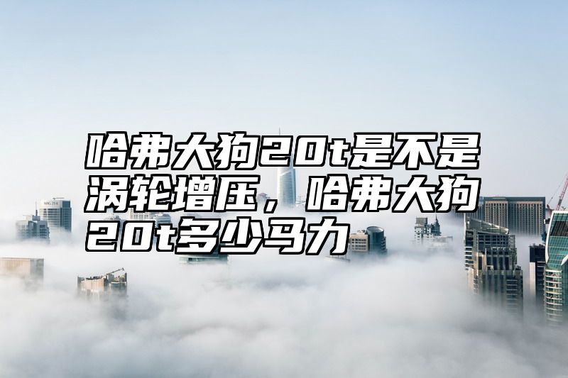 哈弗大狗20t是不是涡轮增压，哈弗大狗20t多少马力