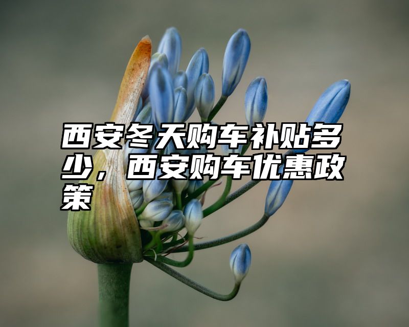 西安冬天购车补贴多少，西安购车优惠政策