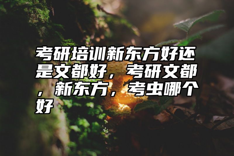 点击查看《考研培训新东方好还是文都好,考研文都,新东方,考虫哪个好》全文