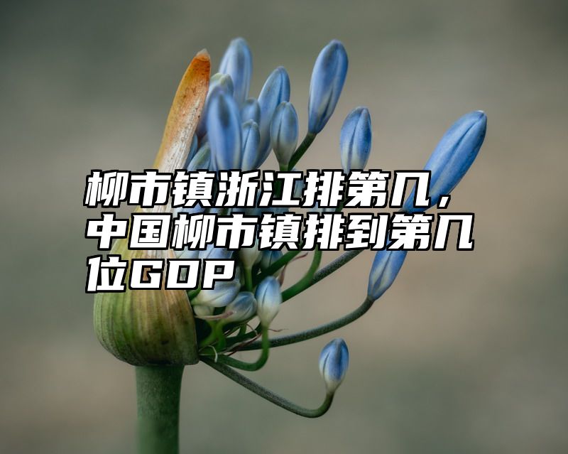 柳市镇浙江排第几，中国柳市镇排到第几位GDP
