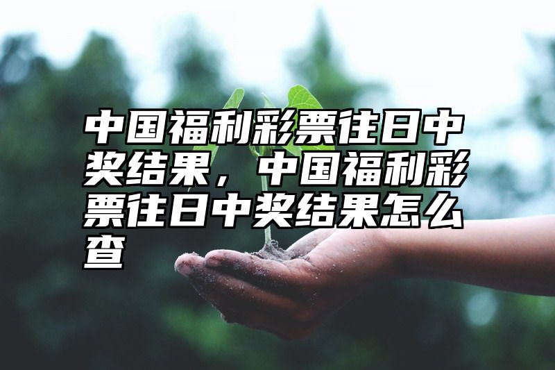 中国福利彩票往日中奖结果，中国福利彩票往日中奖结果怎么查