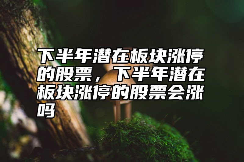 下半年潜在板块涨停的股票，下半年潜在板块涨停的股票会涨吗