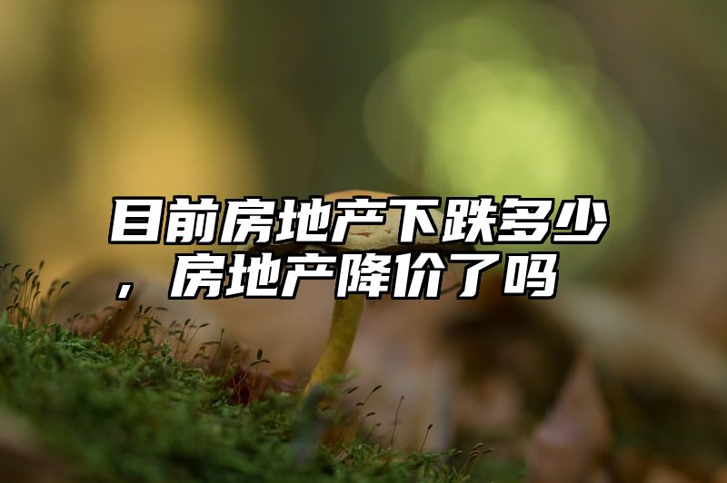 目前房地产下跌多少，房地产降价了吗