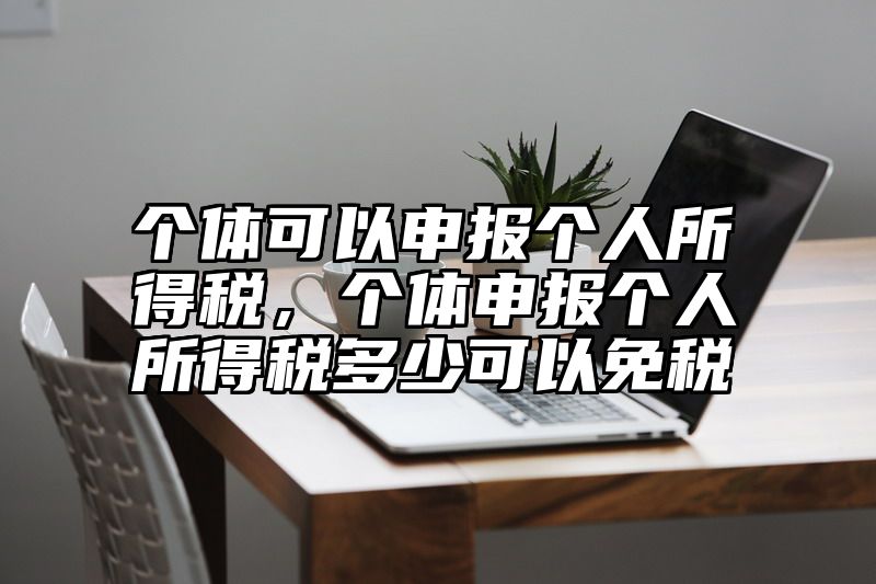 个体可以申报个人所得税，个体申报个人所得税多少可以免税