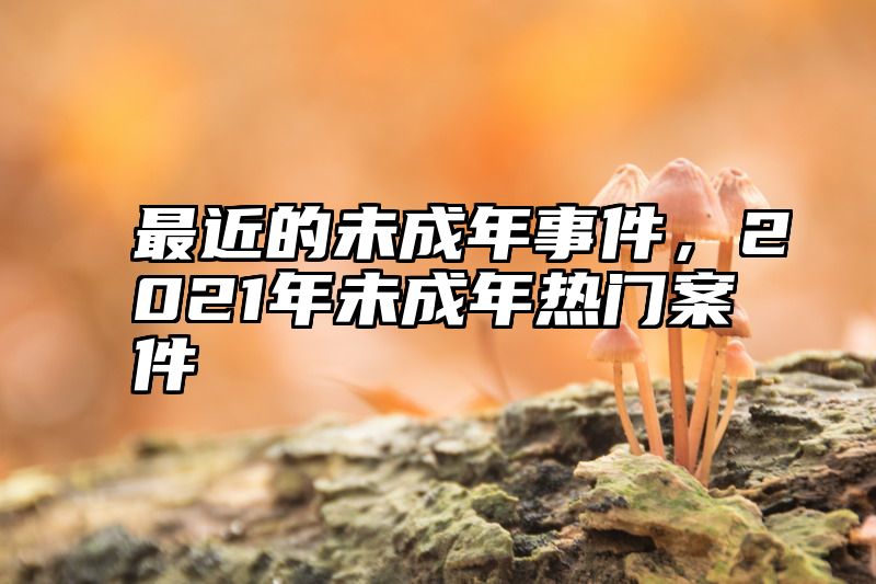 最近的未成年事件，2021年未成年热门案件