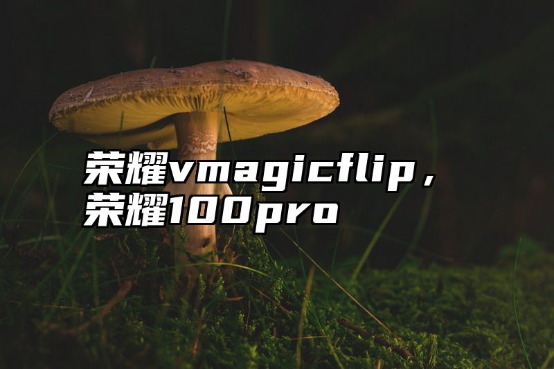 荣耀vmagicflip，荣耀100pro