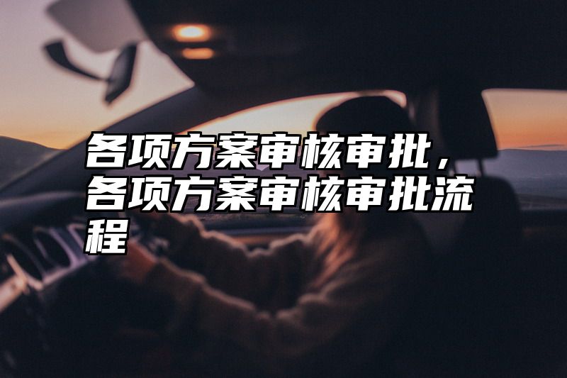 各项方案审核审批，各项方案审核审批流程