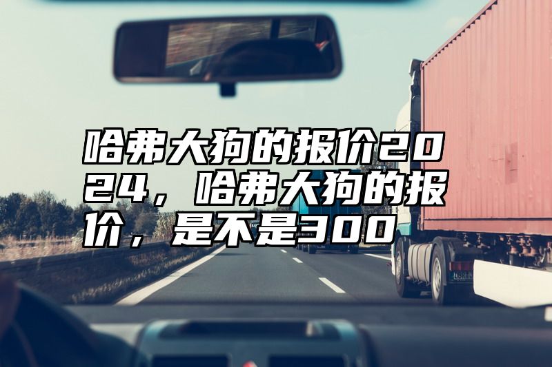 点击查看《哈弗大狗的报价2024,哈弗大狗的报价,是不是300》全文
