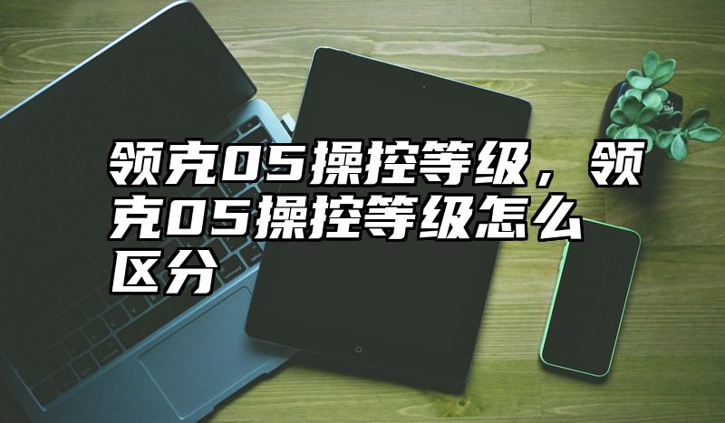 领克05操控等级，领克05操控等级怎么区分