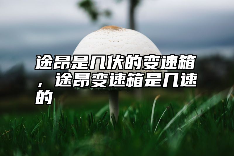 途昂是几伏的变速箱，途昂变速箱是几速的