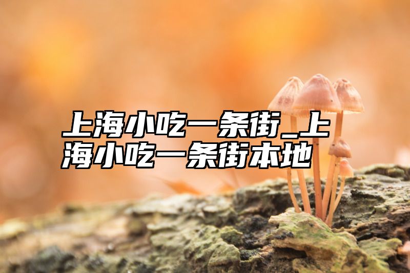 点击查看《上海小吃一条街_上海小吃一条街本地》全文