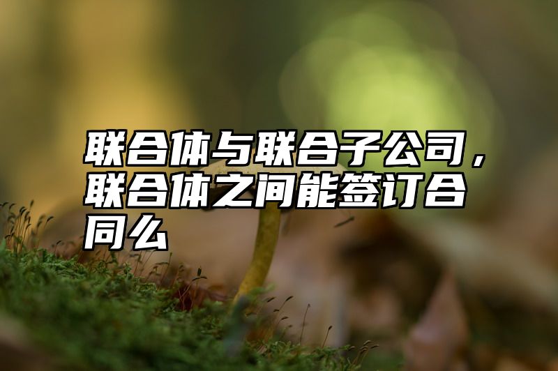 联合体与联合子公司，联合体之间能签订合同么