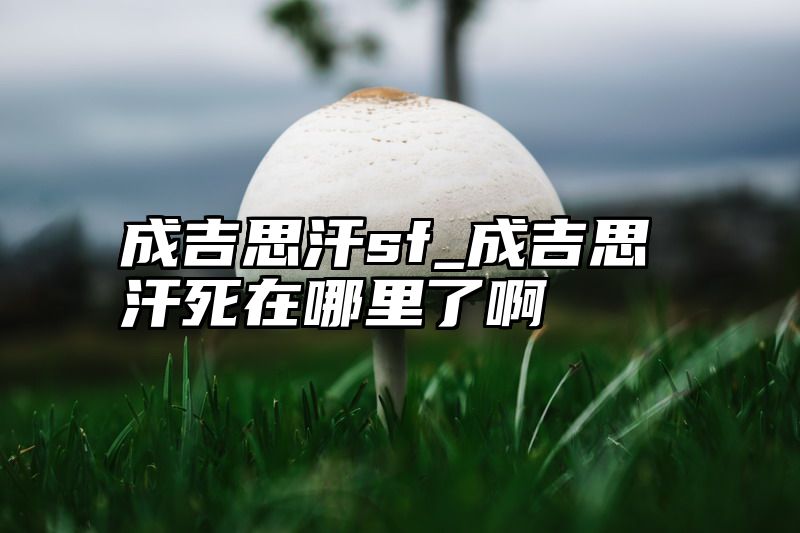 成吉思汗sf_成吉思汗死在哪里了啊