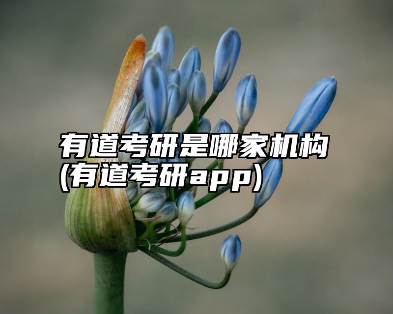 有道考研是哪家机构(有道考研app)