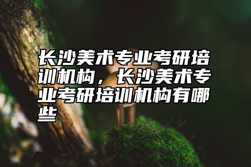 长沙美术专业考研培训机构，长沙美术专业考研培训机构有哪些