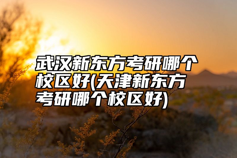 武汉新东方考研哪个校区好(天津新东方考研哪个校区好)