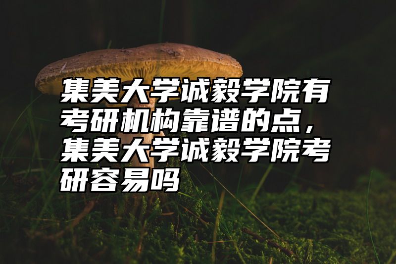 集美大学诚毅学院有考研机构靠谱的点，集美大学诚毅学院考研容易吗