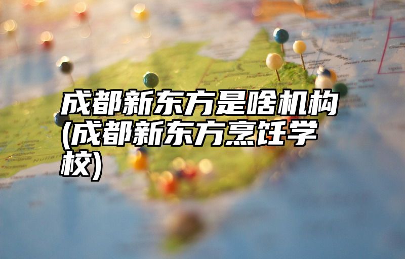 成都新东方是啥机构(成都新东方烹饪学校)