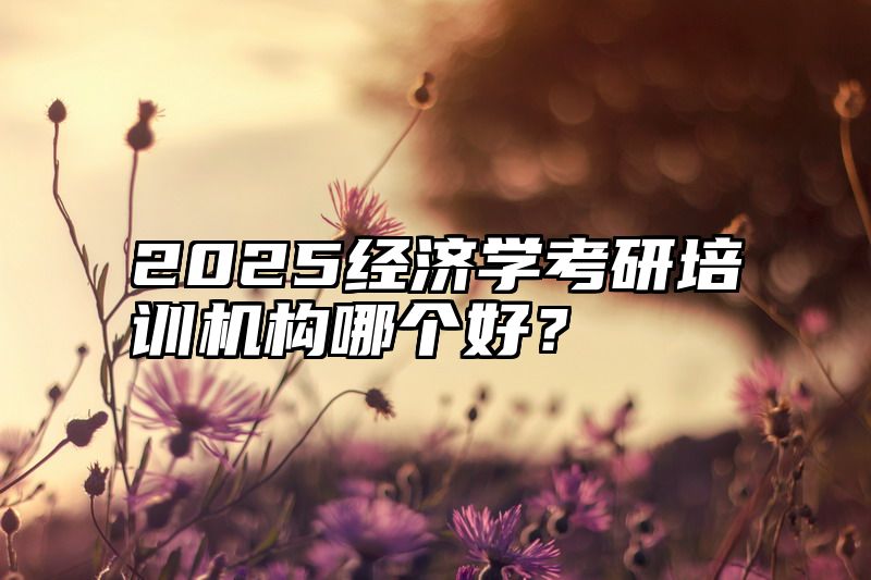 2025经济学考研培训机构哪个好？
