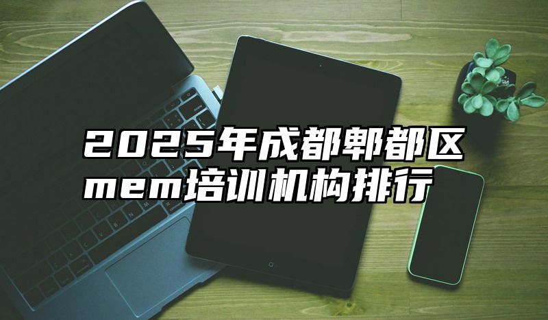 2025年成都郫都区mem培训机构排行
