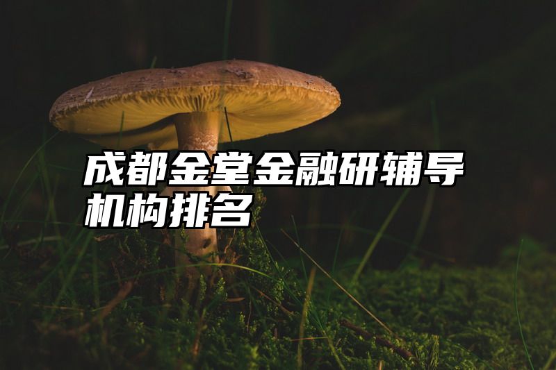 成都金堂金融研辅导机构排名