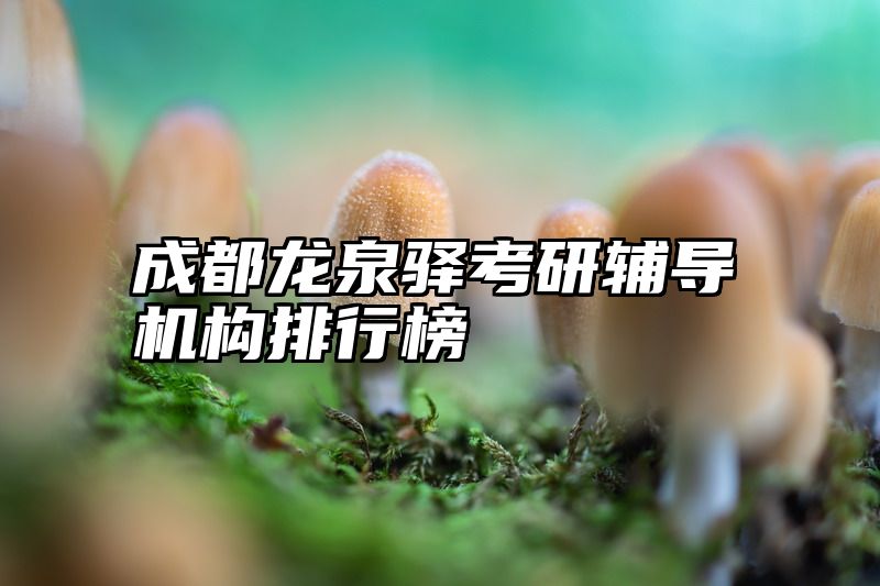 点击查看《成都龙泉驿考研辅导机构排行榜》全文