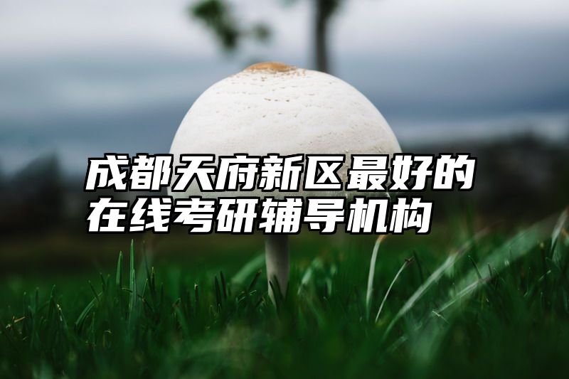 成都天府新区最好的在线考研辅导机构