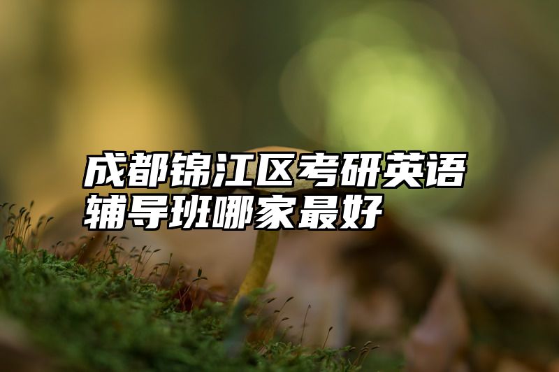 成都锦江区考研英语辅导班哪家最好