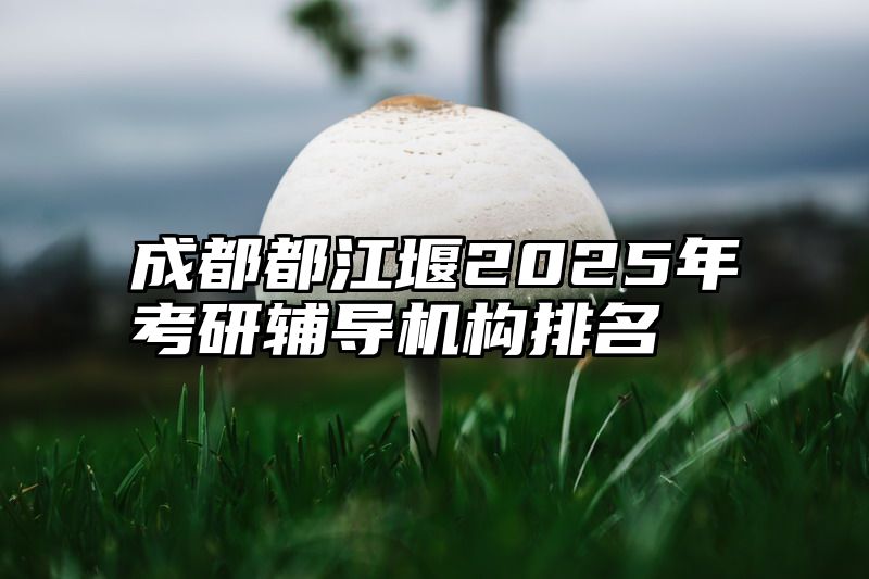 成都都江堰2025年考研辅导机构排名
