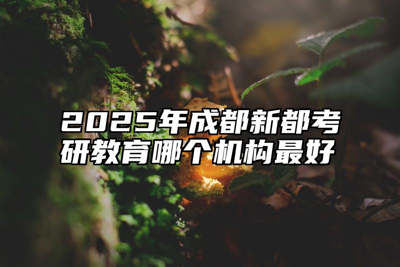 2025年成都新都考研教育哪个机构最好