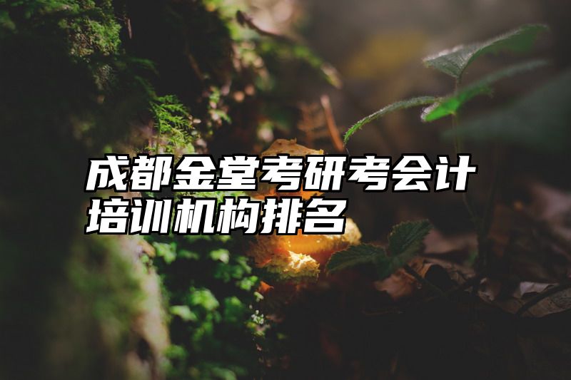 成都金堂考研考会计培训机构排名